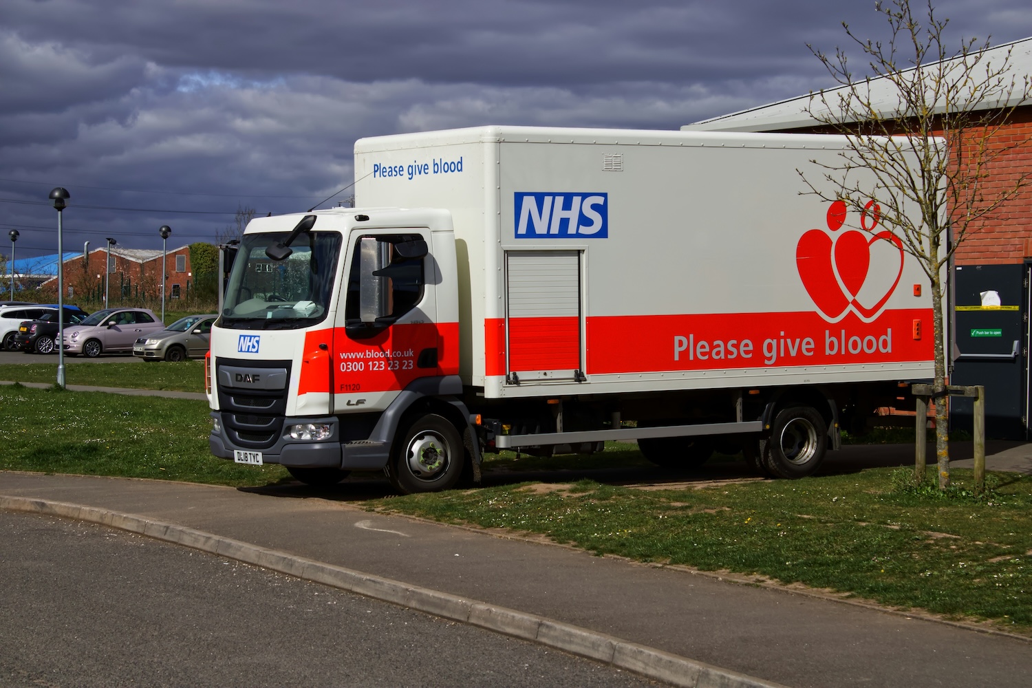 99951308