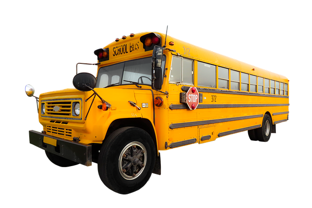 95091134