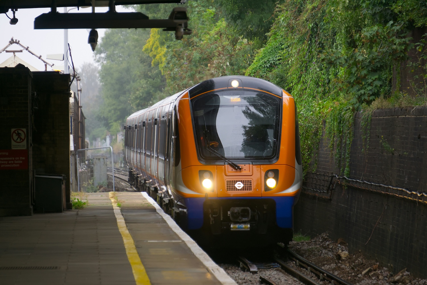 train