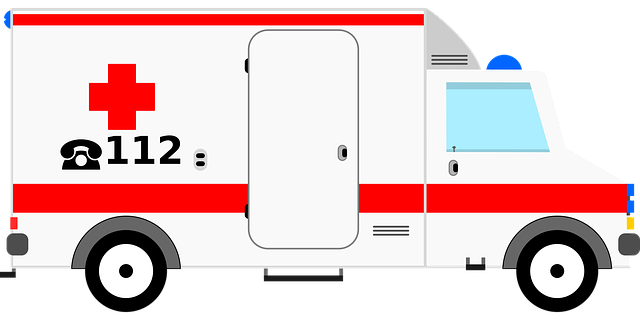 35315531