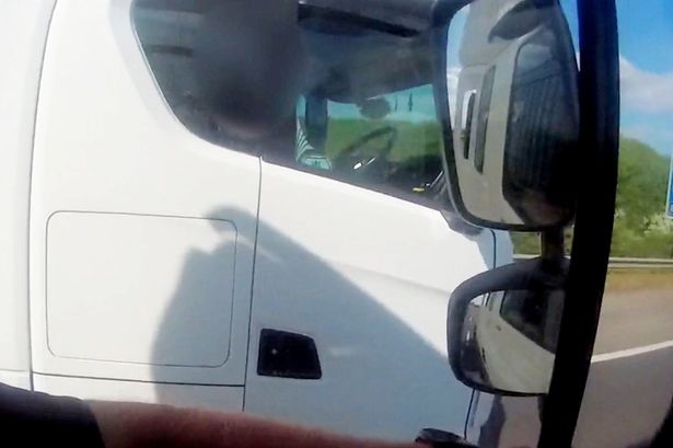 54573508