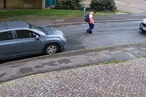 80299784