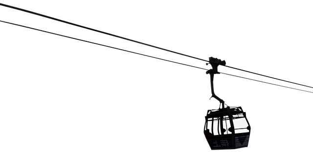 37555721