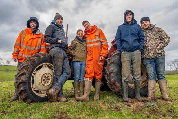 84272036