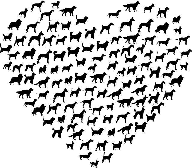 88309227