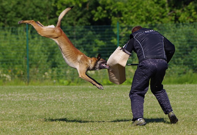 71842015